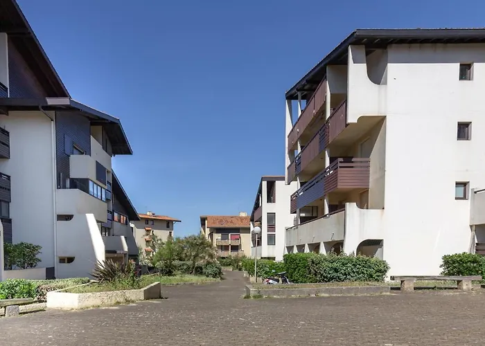 Cosy Avec Grande Terrasse Sud à Le Penon - Fr-1-239-469 Appartement Seignosse